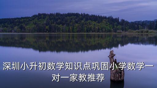 深圳小升初數(shù)學(xué)知識(shí)點(diǎn)鞏固小學(xué)數(shù)學(xué)一對(duì)一家教推薦