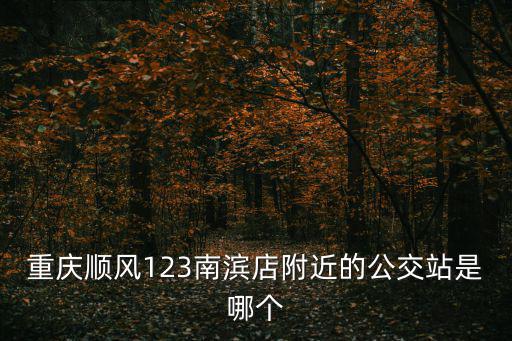 重慶順風123南濱店附近的公交站是哪個
