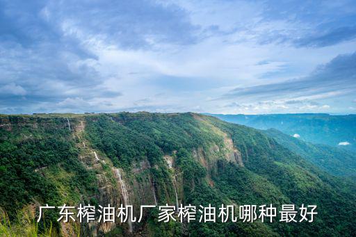 廣東榨油機廠家榨油機哪種最好