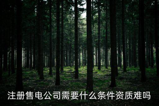 注冊(cè)售電公司需要什么條件資質(zhì)難嗎