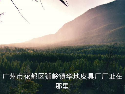 廣州市花都區獅嶺忠信皮革機械廠，廣州市花都區獅嶺鎮華地皮具廠廠址在那里