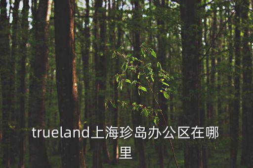 trueland上海珍島辦公區在哪里