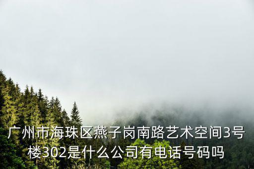 廣州市海珠區燕子崗南路藝術空間3號樓302是什么公司有電話號碼嗎