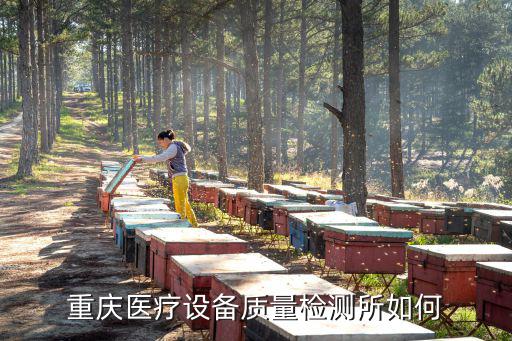 重慶醫(yī)療設備質量檢測所如何