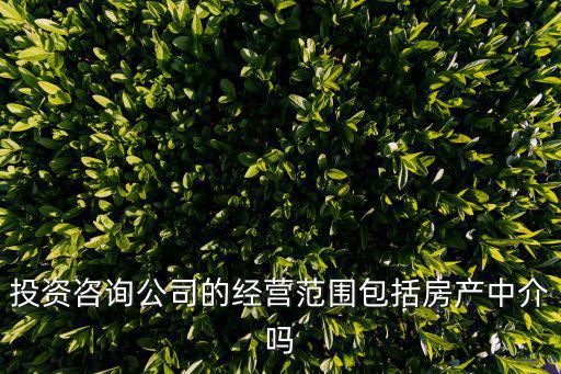 投資咨詢公司的經營范圍包括房產中介嗎