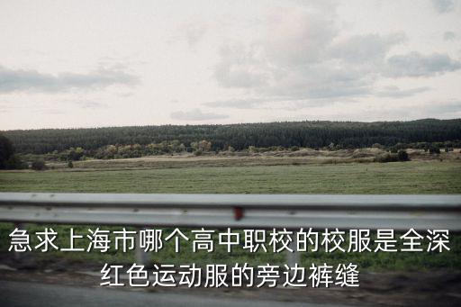 急求上海市哪個高中職校的校服是全深紅色運動服的旁邊褲縫