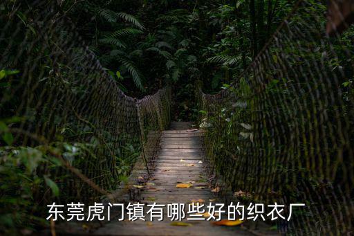東莞虎門鎮有哪些好的織衣廠