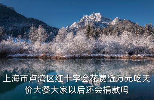 上海市盧灣區紅十字會花費近萬元吃天價大餐大家以后還會捐款嗎