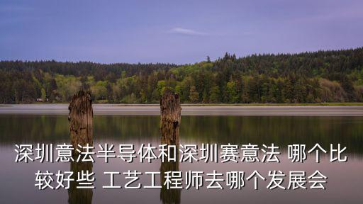 深圳意法半導體和深圳賽意法 哪個比較好些 工藝工程師去哪個發展會