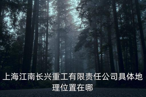 上海市長興衛星地圖，上海江南長興重工有限責任公司具體地理位置在哪