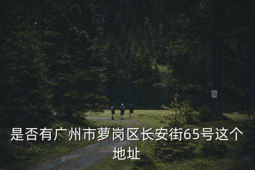 是否有廣州市蘿崗區長安街65號這個地址