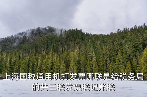 上海市地稅局過劍飛，上海國稅通用機打發票哪聯是給稅務局的共三聯發票聯記賬聯