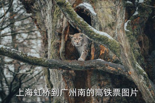 上海到廣州高鐵路線圖，上海至廣州有哪些鐵路線如京廣線