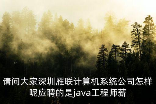 請(qǐng)問(wèn)大家深圳雁聯(lián)計(jì)算機(jī)系統(tǒng)公司怎樣呢應(yīng)聘的是java工程師薪