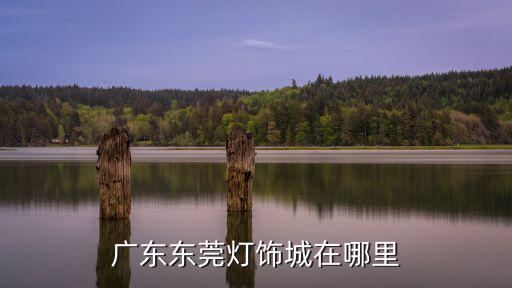廣東東莞燈飾城在哪里