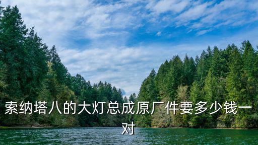 重慶市索納塔八車燈總成，將別人現(xiàn)代索八后面大燈燈罩掉了請(qǐng)問(wèn)需要換總成嗎換之只得多少