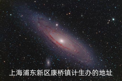 上海浦東新區康橋鎮計生辦的地址