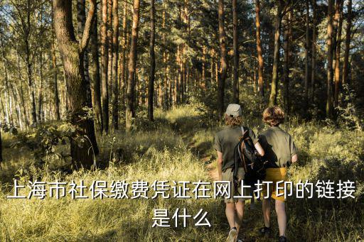 上海市參保憑證怎么網(wǎng)上打印，在上海社保網(wǎng)上如何打印社保繳納明細清單