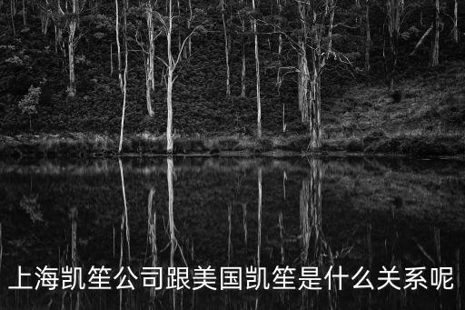 廣州凱笙科技，地址海珠區新港西路135號中大科技園五樓501室是什么公司