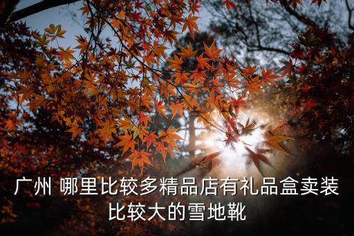 廣州 哪里比較多精品店有禮品盒賣裝比較大的雪地靴