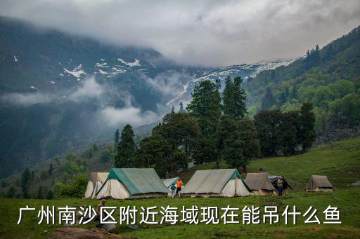 廣州南沙區附近海域現在能吊什么魚