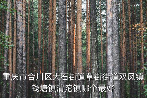 重慶市合川區(qū)龍鳳鎮(zhèn)介紹，重慶合川有燕窩鎮(zhèn)嗎