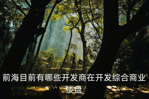 深圳前海時代樓盤，前海目前有哪些開發商在開發綜合商業樓盤