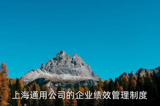 上海通用公司的企業(yè)績(jī)效管理制度