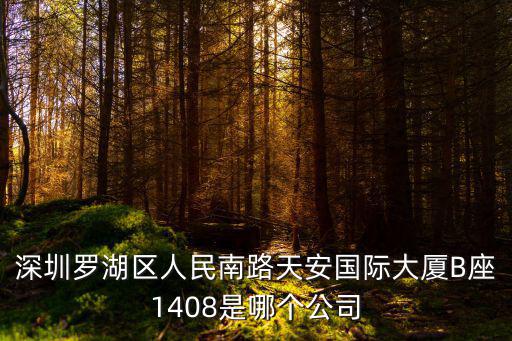 深圳市天碧貿(mào)易有限公司，深圳羅湖區(qū)人民南路天安國(guó)際大廈B座1408是哪個(gè)公司