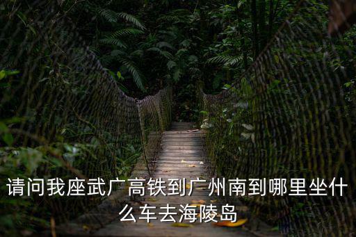 請問我座武廣高鐵到廣州南到哪里坐什么車去海陵島