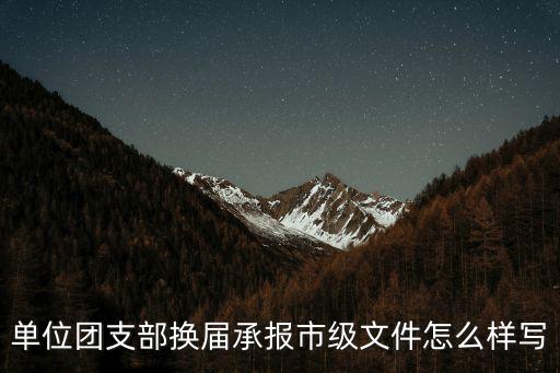 單位團支部換屆承報市級文件怎么樣寫