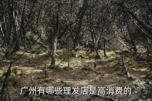 廣州立邦消費模式，廣州有哪些理發(fā)店是高消費的