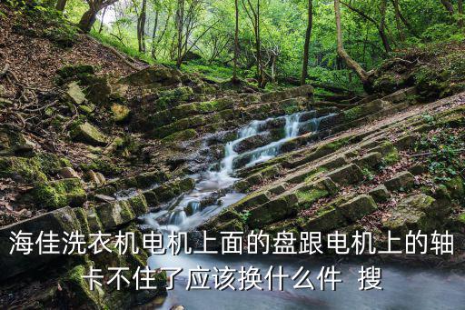 海佳洗衣機(jī)電機(jī)上面的盤跟電機(jī)上的軸卡不住了應(yīng)該換什么件  搜