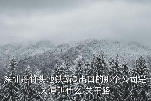 深圳丹竹頭地鐵站D出口的那個(gè)公司是大廈叫什么 關(guān)于路