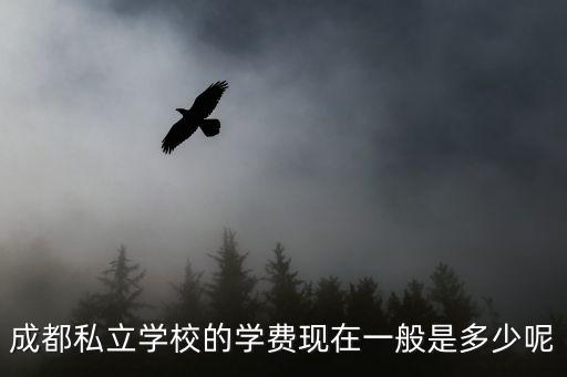 成都私立學(xué)校的學(xué)費(fèi)現(xiàn)在一般是多少呢