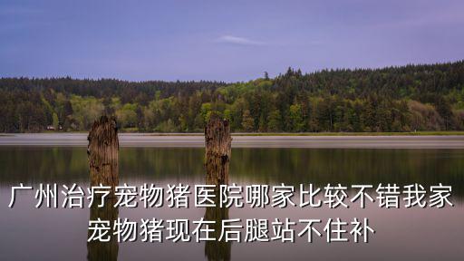 廣州納欣動物藥業，納欣同用藥
