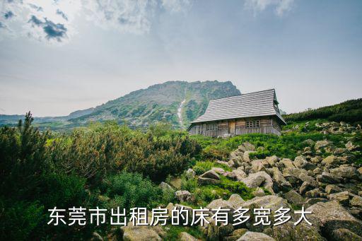 東莞翰林床有多大，kingsize的床一般多大
