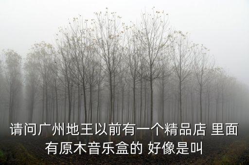 請問廣州地王以前有一個精品店 里面有原木音樂盒的 好像是叫