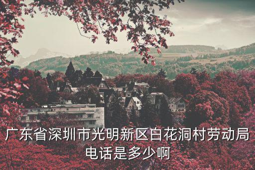 廣東省深圳市光明新區(qū)白花洞村勞動(dòng)局電話(huà)是多少啊