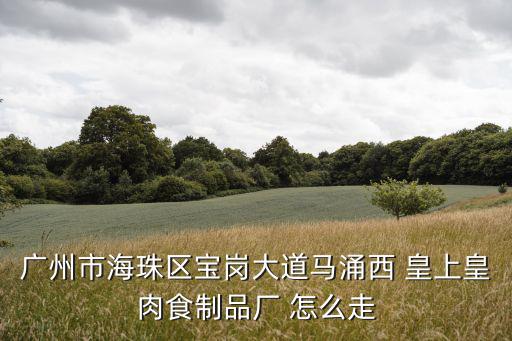 廣州市海珠區寶崗大道馬涌西 皇上皇肉食制品廠 怎么走