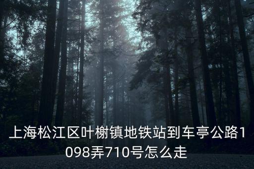 上海松江區葉榭鎮地鐵站到車亭公路1098弄710號怎么走