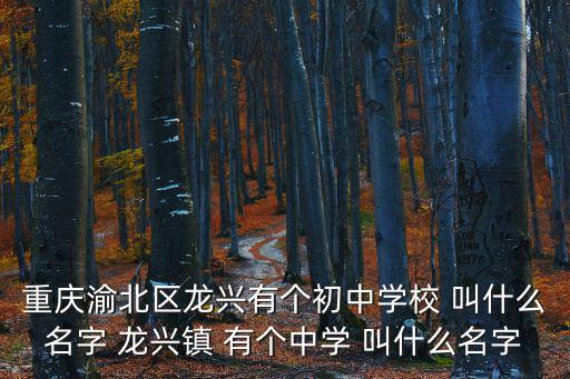 重慶渝北區龍興有個初中學校 叫什么名字 龍興鎮 有個中學 叫什么名字