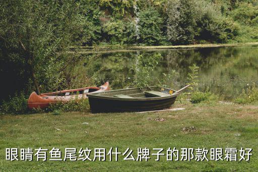 眼睛有魚尾紋用什么牌子的那款眼霜好