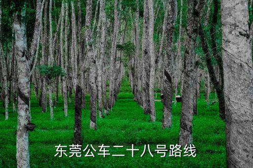 東莞公車815路線地圖，東莞公交路線