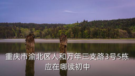 重慶市渝北區(qū)人和萬(wàn)年三支路3號(hào)5棟應(yīng)在哪讀初中