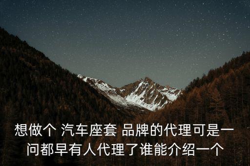 想做個 汽車座套 品牌的代理可是一問都早有人代理了誰能介紹一個