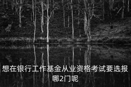 想在銀行工作基金從業(yè)資格考試要選報(bào)哪2門(mén)呢