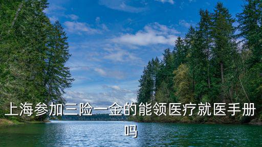 上海參加三險一金的能領醫療就醫手冊嗎
