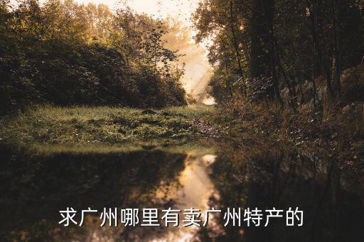 廣州特產去哪買，廣州哪里買特產最地道