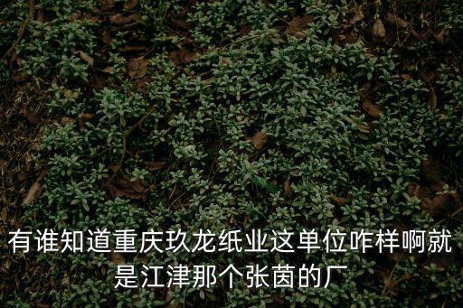 有誰知道重慶玖龍紙業這單位咋樣啊就是江津那個張茵的廠